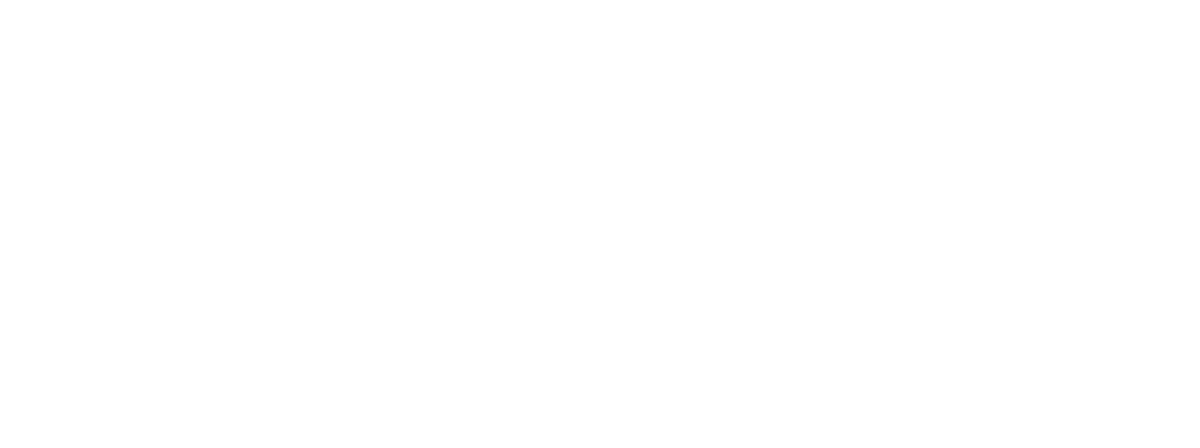 Venturi Projects