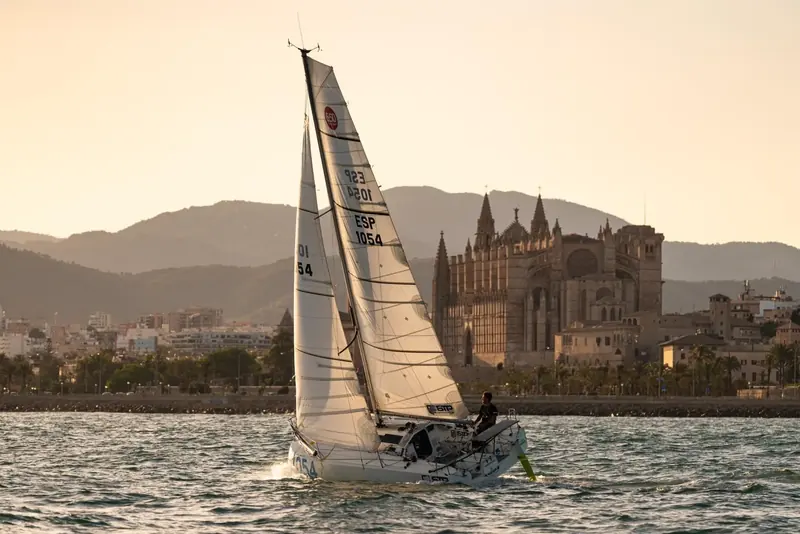 Mini 6.50 sailing past Palma cathedral at sunset